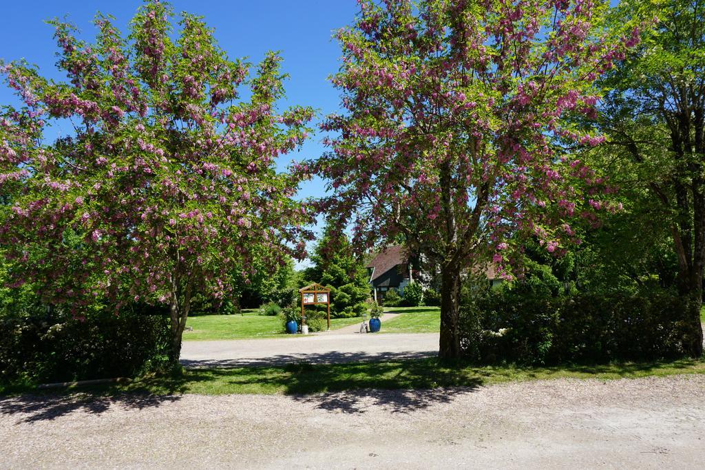 Domaine De L'Arbrelle Hotell Amboise Eksteriør bilde