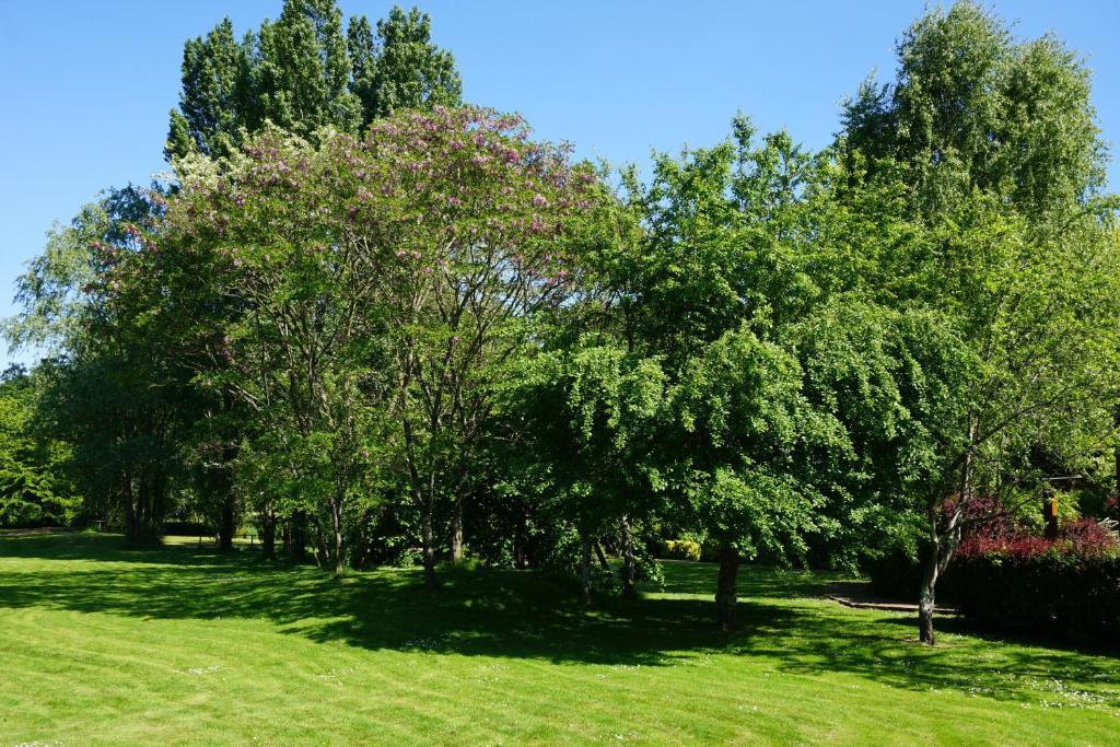 Domaine De L'Arbrelle Hotell Amboise Eksteriør bilde