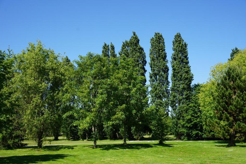 Domaine De L'Arbrelle Hotell Amboise Eksteriør bilde